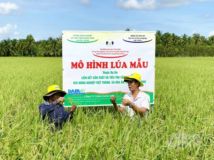 Nông dân vùng đồng bào dân tộc Khmer hào hứng liên kết làm lúa bao tiêu